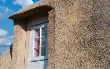 Plawsworth thatch roof disadvantages